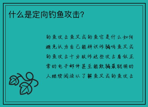 什么是定向钓鱼攻击？