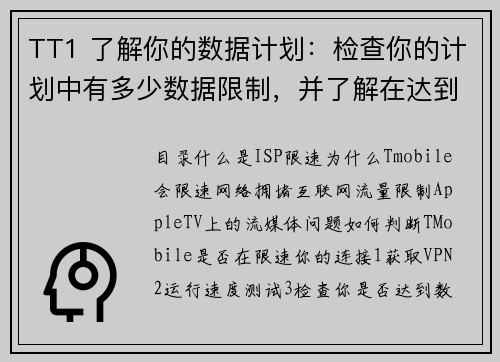 TT1 了解你的数据计划：检查你的计划中有多少数据限制，并了解在达到限制后会发生什